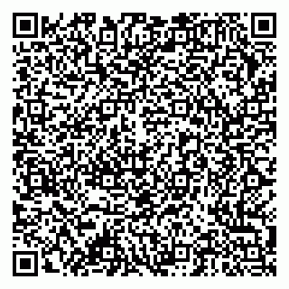 vCard 79378004095
