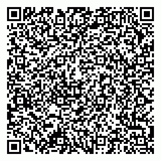 vCard 79378004099