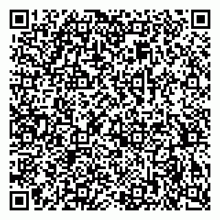 vCard 79378004101