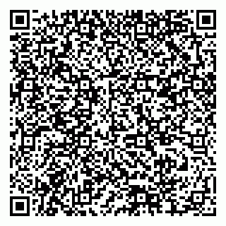 vCard 79378004106