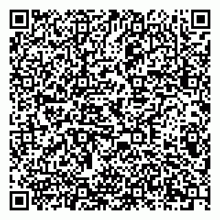 vCard 79378004107
