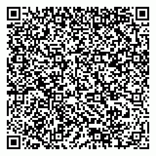 vCard 79378004108