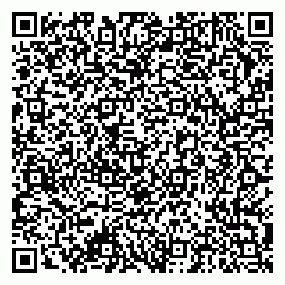 vCard 79378004110