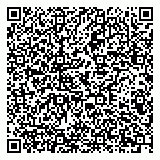 vCard 79378004111