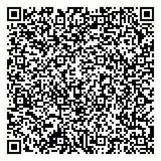 vCard 79378004129