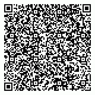 vCard 79378004130