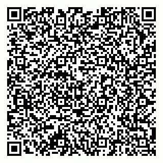 vCard 79378004135