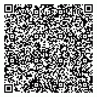 vCard 79378004141
