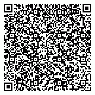 vCard 79378004147