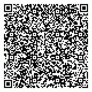 vCard 79378004151