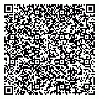 vCard 79378004153