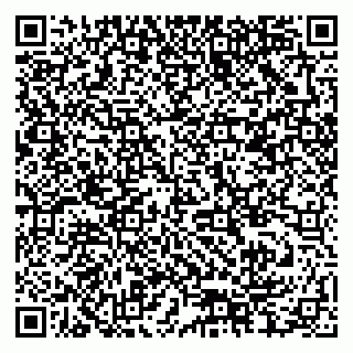 vCard 79378004154