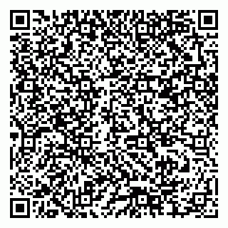 vCard 79378004156