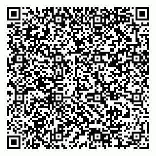 vCard 79378004157