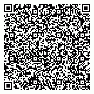 vCard 79378004159