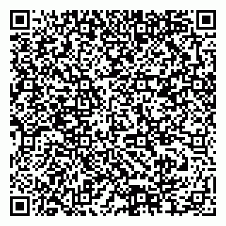vCard 79378004160