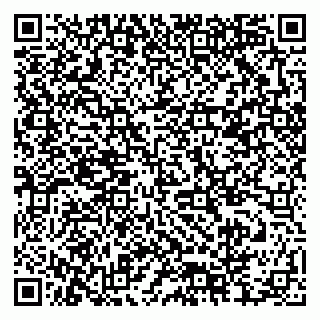 vCard 79378004163