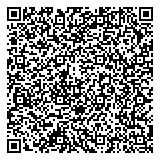 vCard 79378004171