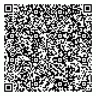 vCard 79378004173