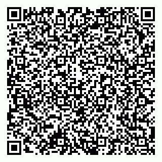 vCard 79378004174
