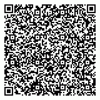 vCard 79378004175