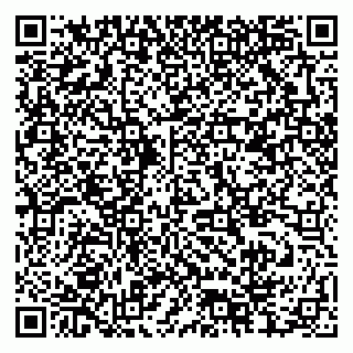 vCard 79378004176