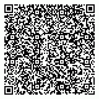 vCard 79378004185