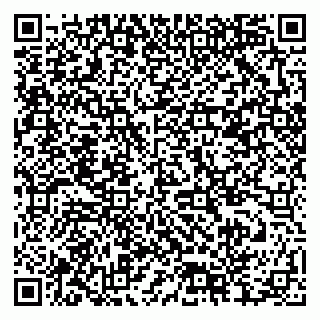 vCard 79378004187