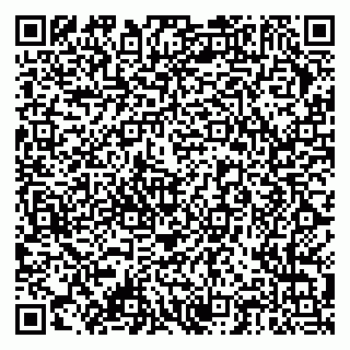 vCard 79378004203