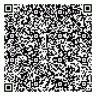 vCard 79378004206