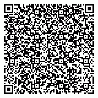 vCard 79378004208
