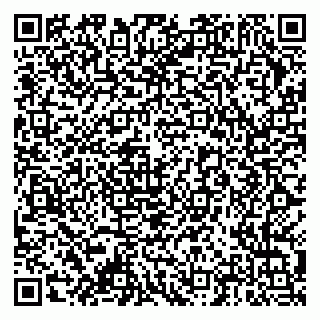 vCard 79378004213