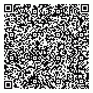 vCard 79378004233