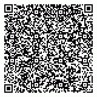 vCard 79378004235