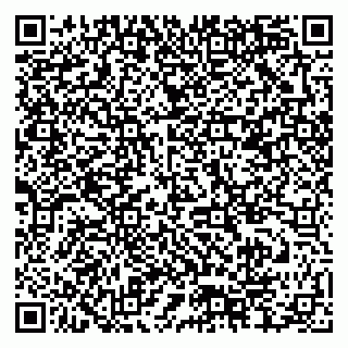 vCard 79378004259
