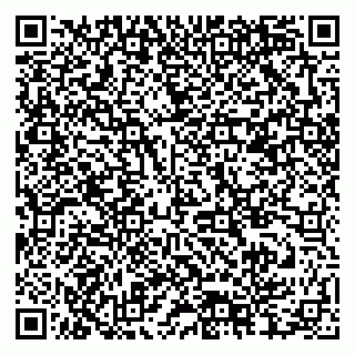 vCard 79378004284