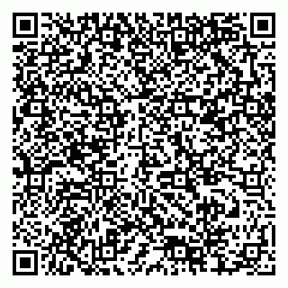 vCard 79378004299