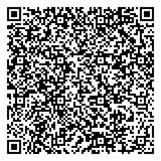 vCard 79378004301
