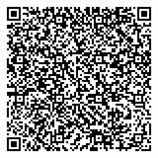 vCard 79378004304