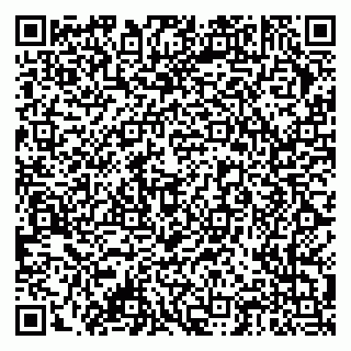 vCard 79378004307