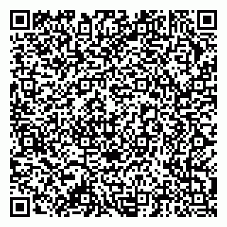 vCard 79378004315