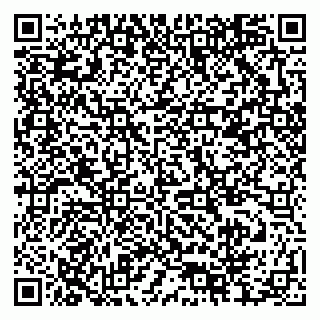 vCard 79378004317