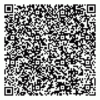 vCard 79378004319