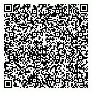 vCard 79378004331