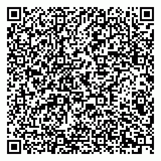 vCard 79378004335