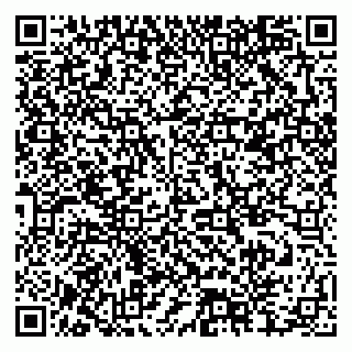 vCard 79378004381