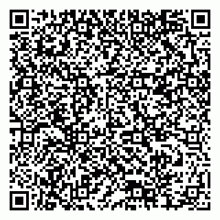 vCard 79378004382