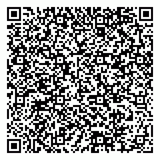 vCard 79378004391