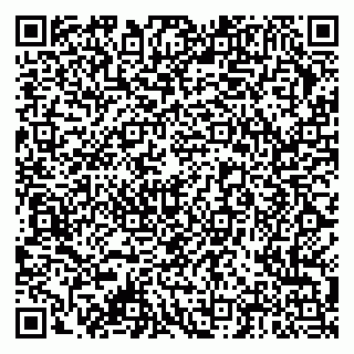vCard 79378004411