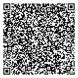 vCard 79378004417